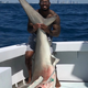 Image for article titled Von Miller Avoids Charges For Bloody Shark Photo; Boat Owner Gets Two Counts
